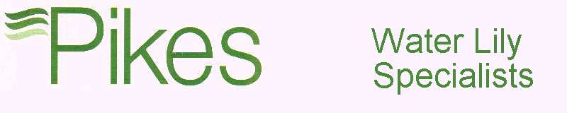 PikesBanner04 PikesBanner04